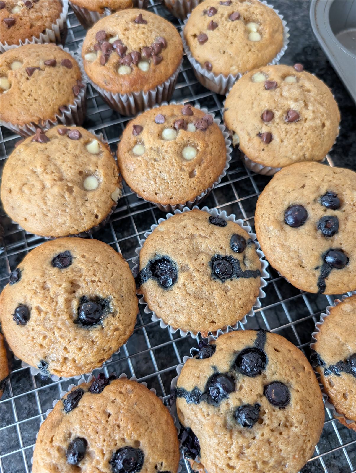 Blueberry and chocolate chip muffins