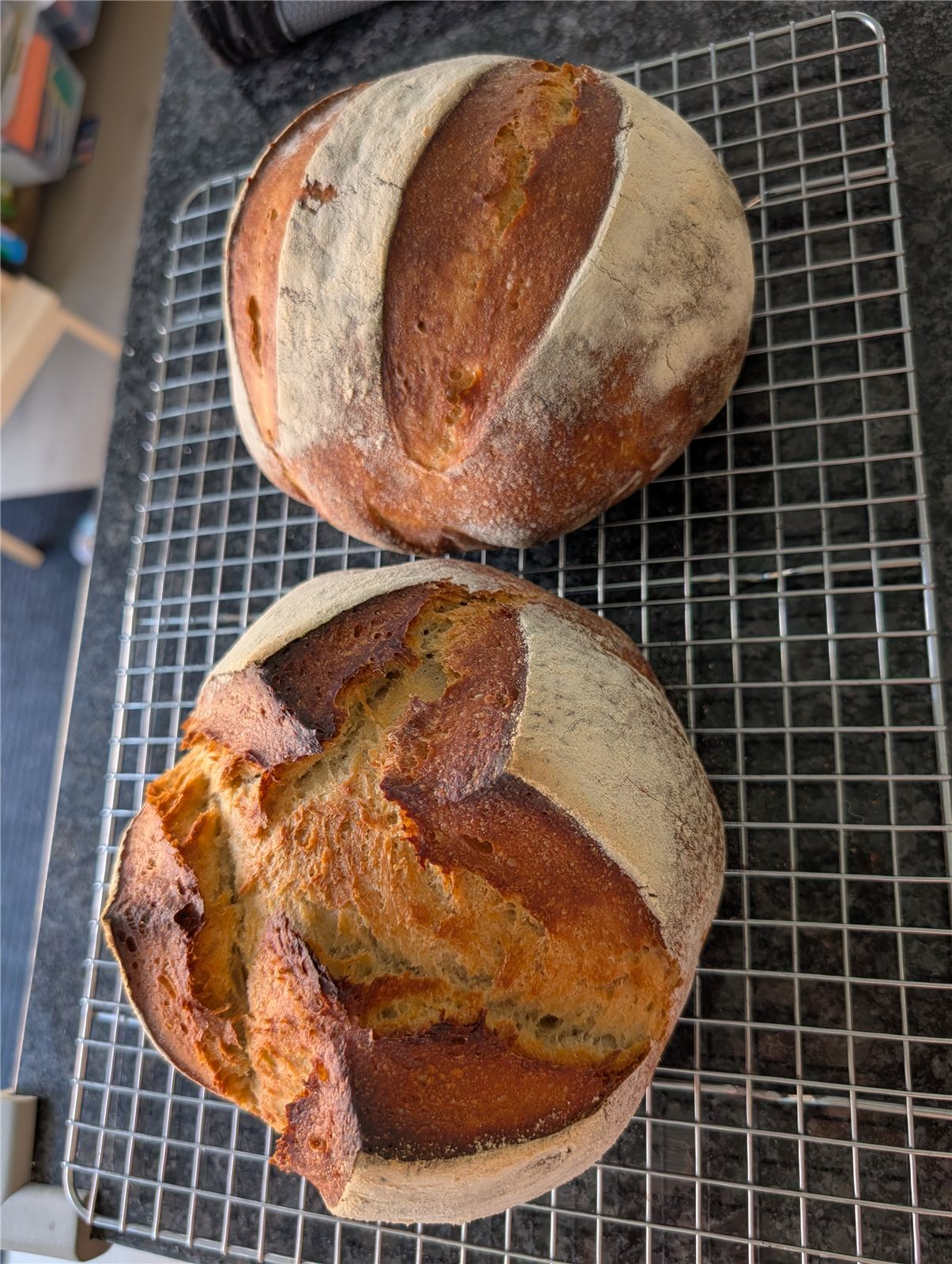 Two round sourdough loaves on a cooling rack