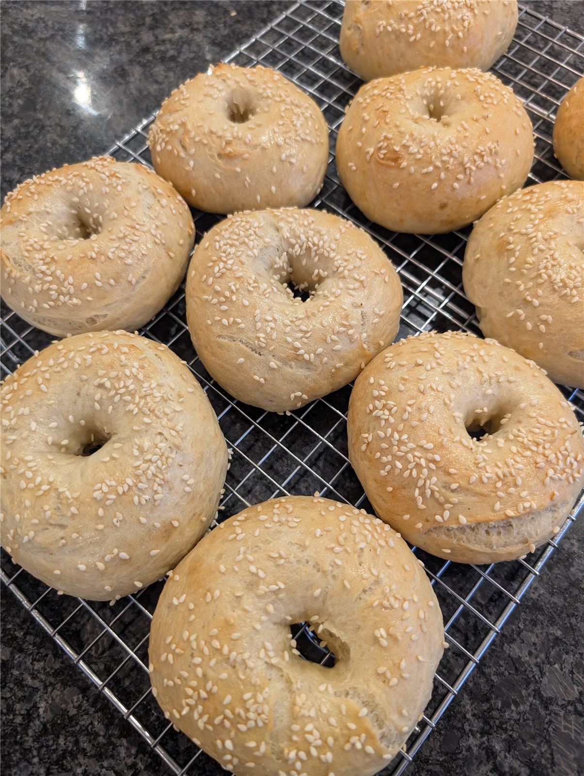 Fresh baked sesame bagels