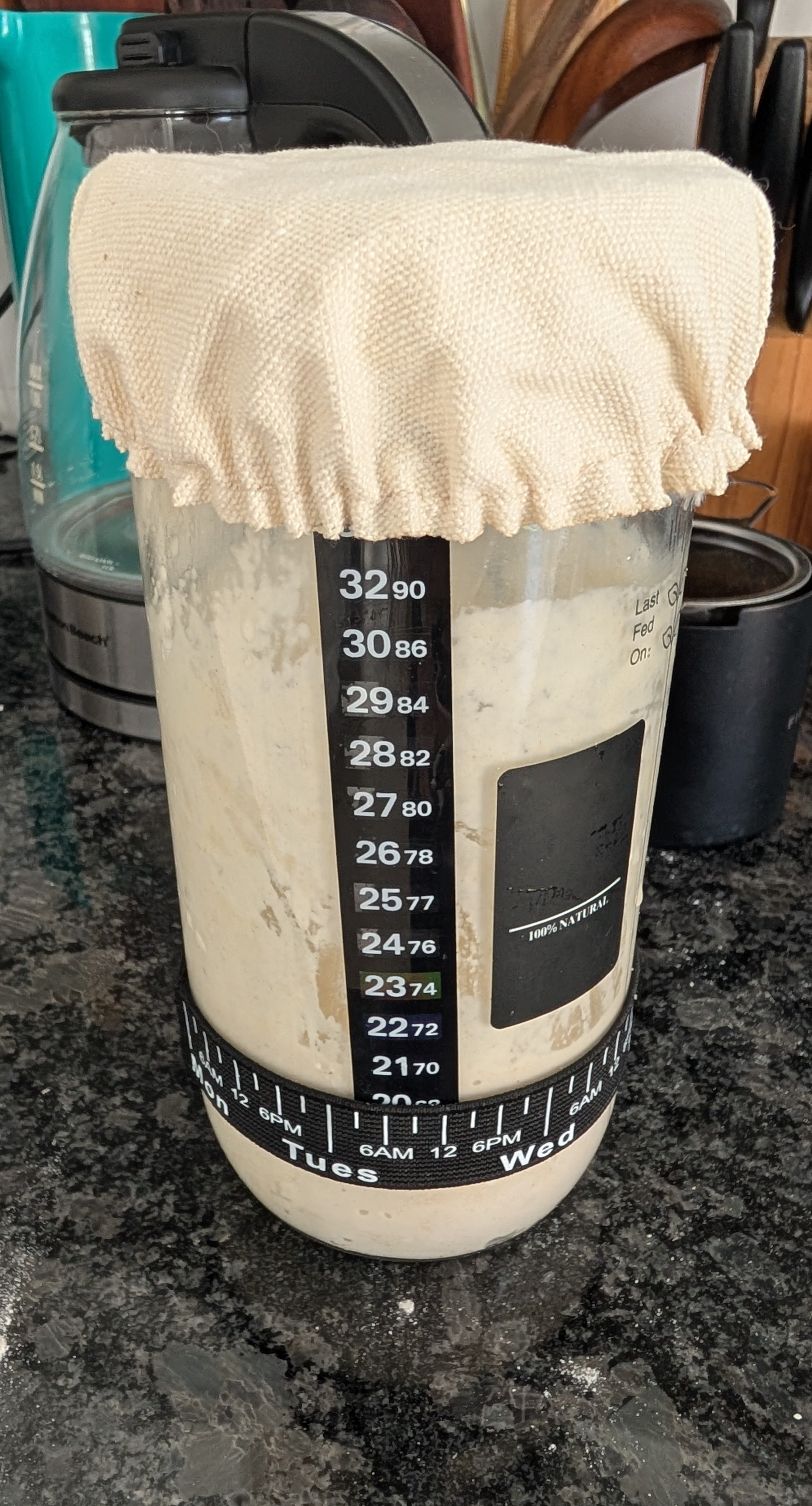 Sourdough starter freshly fed in a jar, not yet risen