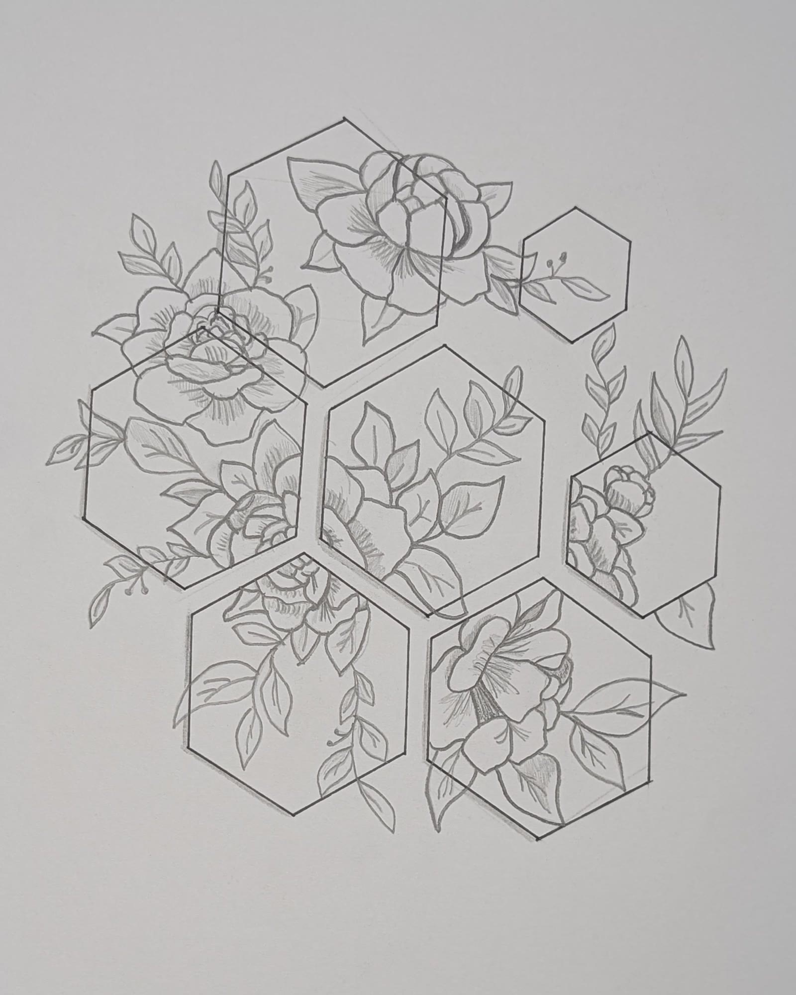 Pencil line drawing of roses and peonies with leafy sprigs inside and around overlapping hexagons