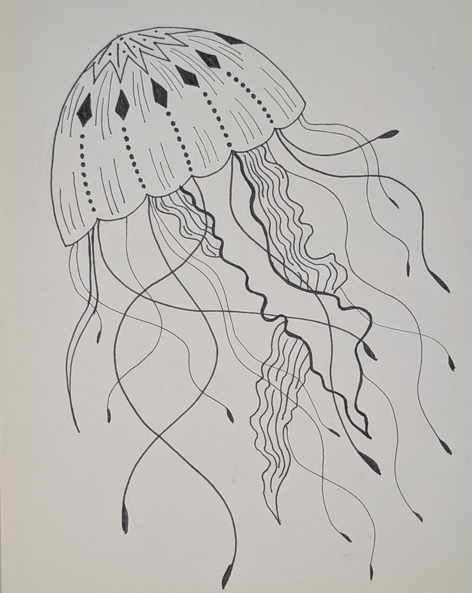Black ink drawing of a jellyfish with a patterned bell and long wavy tentacles