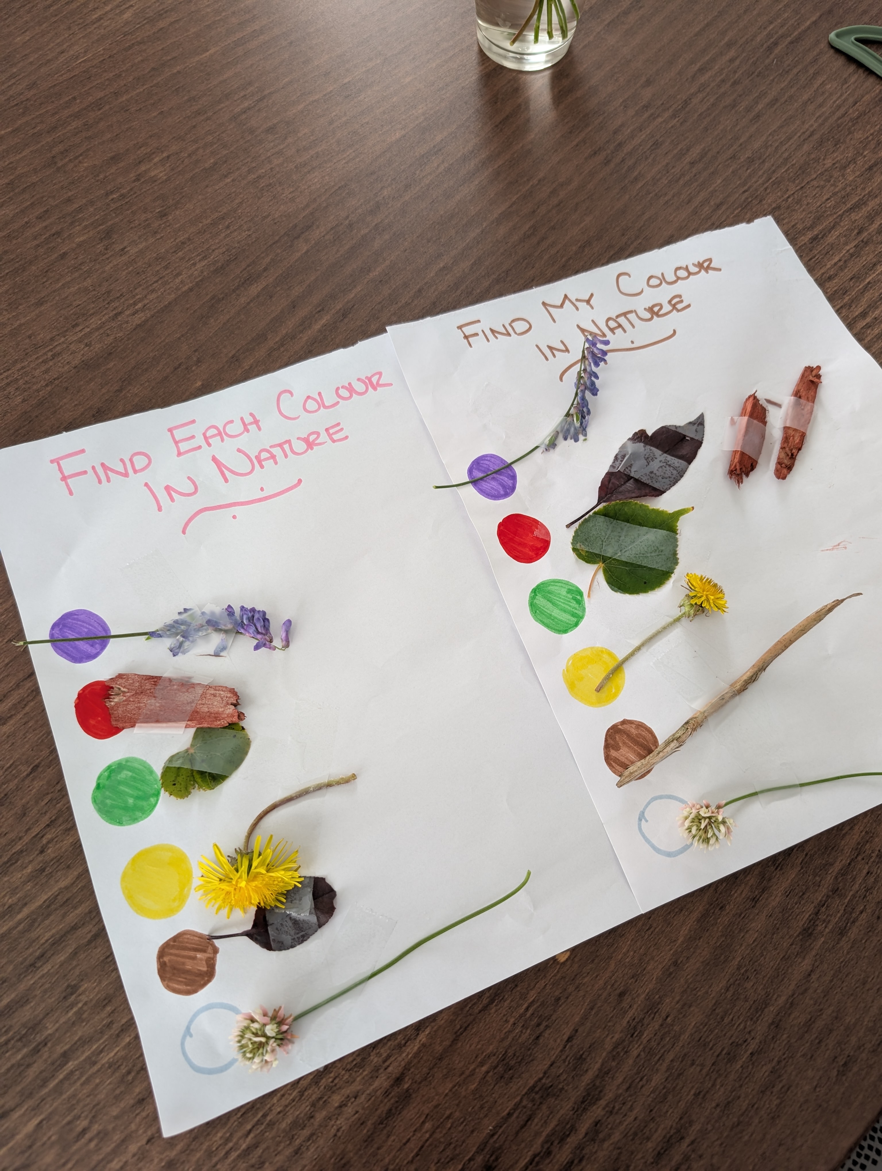Completed find each colour in nature sheets with flowers, leaves, and twigs taped next to matching coloured dots