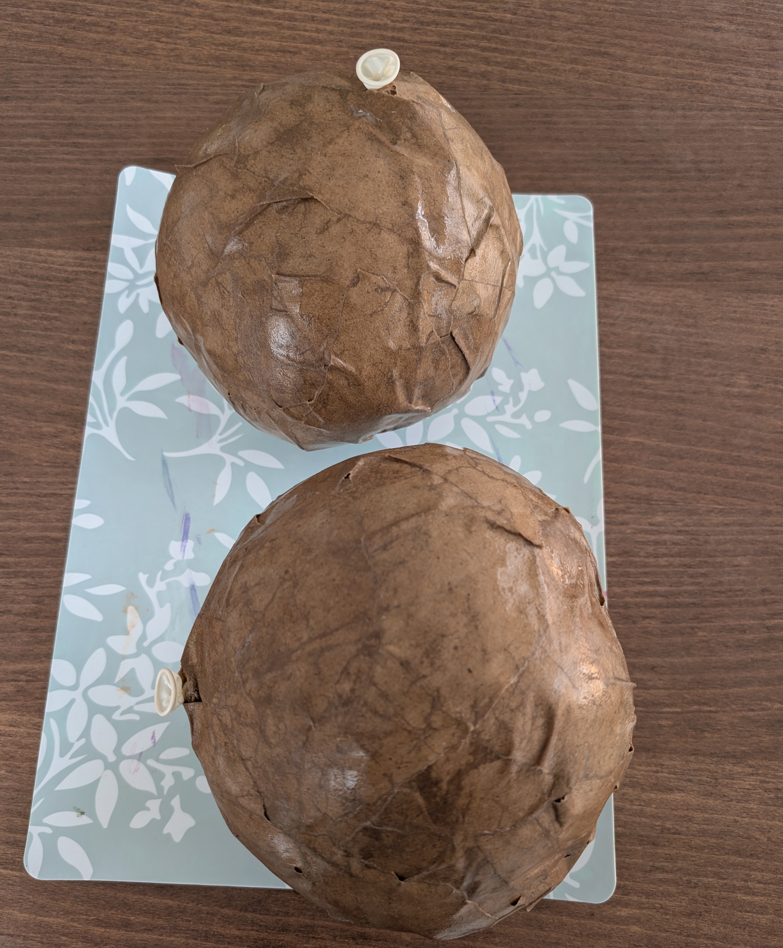 Two dried paper mache pumpkin shells with visible ridges, before painting